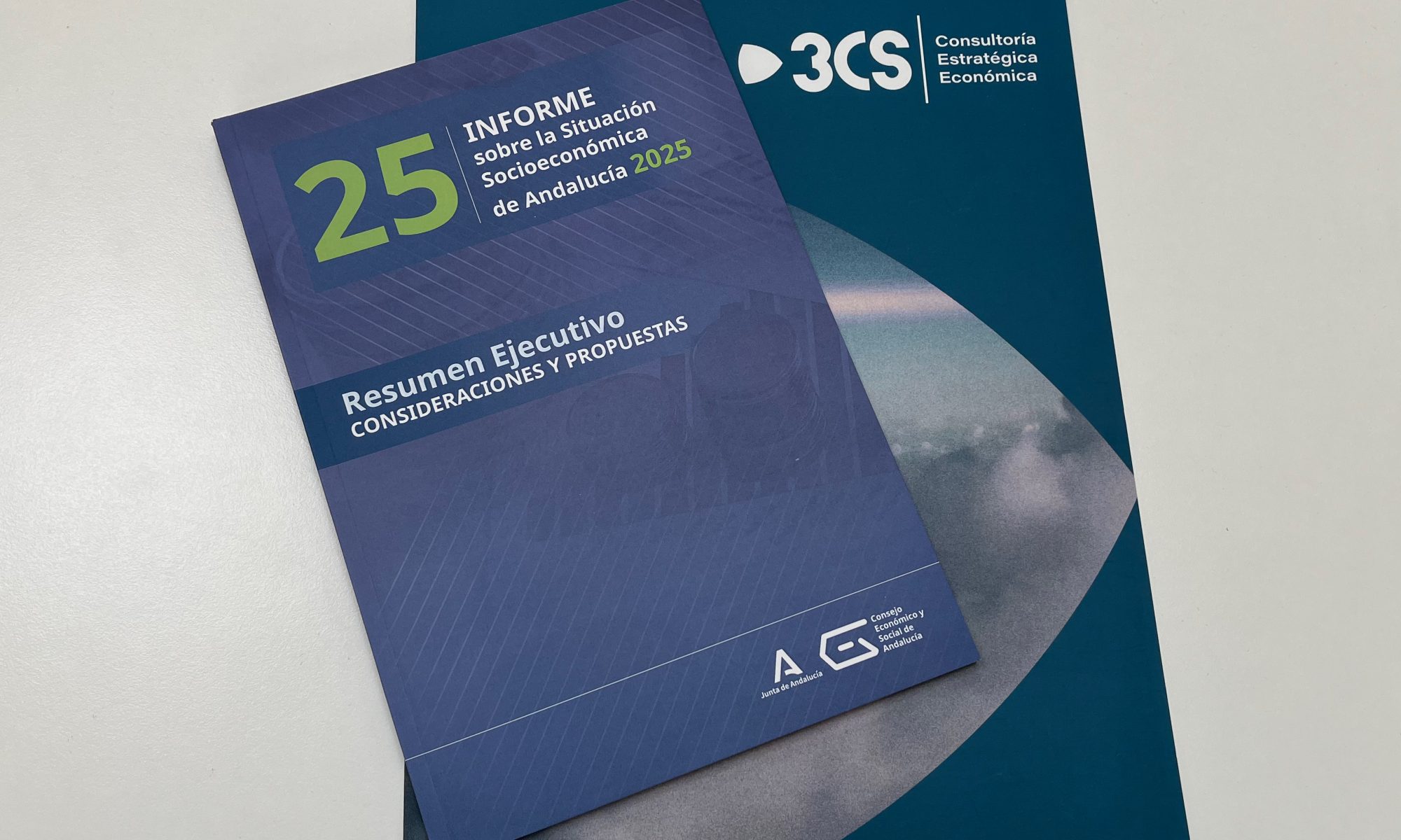Informe sobre la Situación Socioeconómica de Andalucia 2025